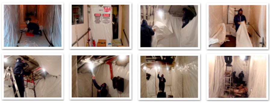 American Vets asbestos removal American Vets asbestos removal